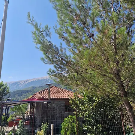 Krishen بيت ضيافة 3*